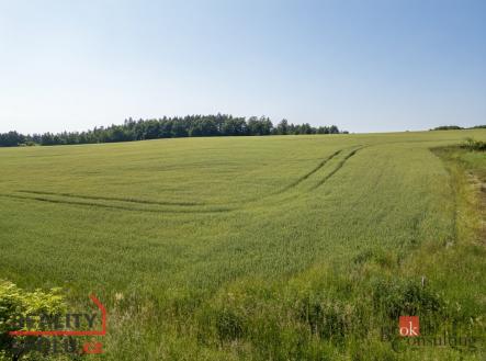 Prodej - pozemek pro bydlení, 5 460 m²
