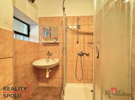 Prodej - dům/vila, 300 m²