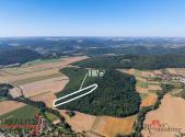 Prodej - pozemek, les, 8 887 m²