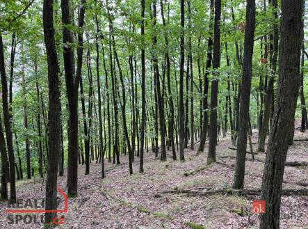 Prodej - pozemek, les, 8 887 m²