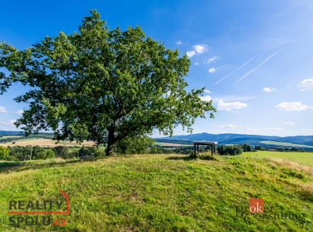 Prodej - pozemek, zemědělská půda, 11 539 m²