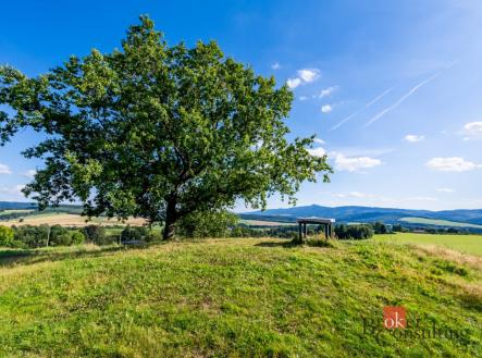 Prodej - pozemek, zemědělská půda, 11 539 m²