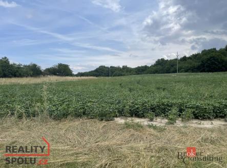 Prodej - pozemek pro bydlení, 788 m²