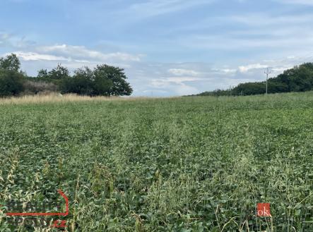 Prodej - pozemek pro bydlení, 788 m²