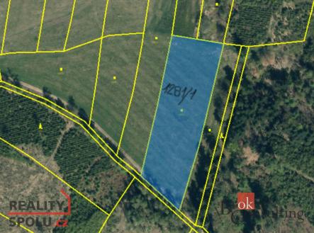 Prodej - pozemek, trvalý travní porost, 44 551 m²