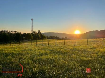 Prodej - pozemek pro bydlení, 2 884 m²