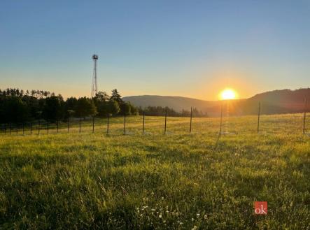 Prodej - pozemek pro bydlení, 2 884 m²