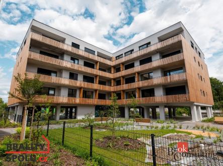 Pronájem bytu, 1+kk, 30 m²