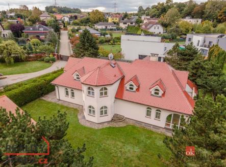 Pronájem - dům/vila, 369 m²