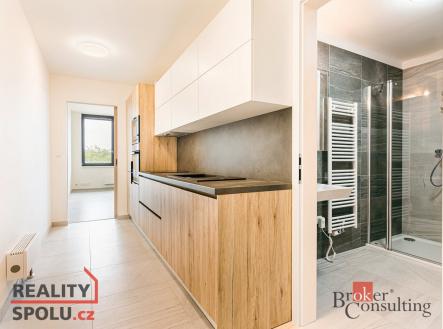 Pronájem bytu, 1+1, 54,9 m²