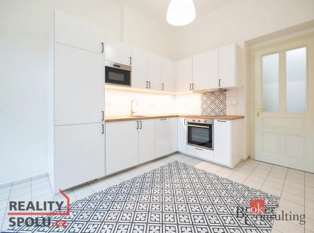 Pronájem bytu, 1+1, 49,6 m²