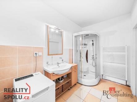 Prodej - dům/vila, 308 m²