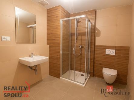 Pronájem bytu, 1+kk, 49 m²