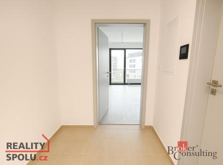 Pronájem bytu, 1+kk, 49 m²