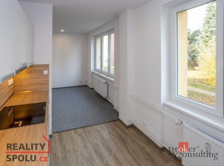 Pronájem bytu, 2+1, 54 m²