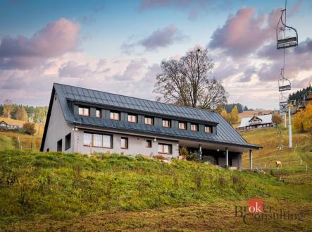 Prodej - dům/vila, 390 m²
