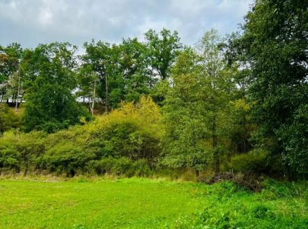 Prodej - pozemek, trvalý travní porost, 1 277 m²