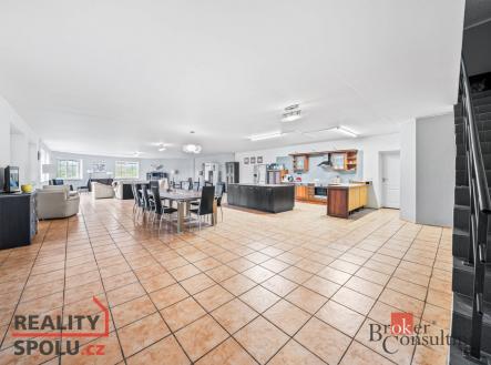 Pronájem bytu, 6+1, 300 m²