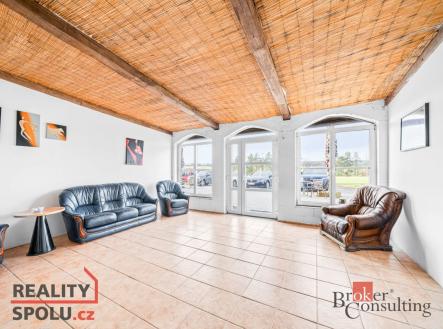 Pronájem bytu, 6+1, 300 m²