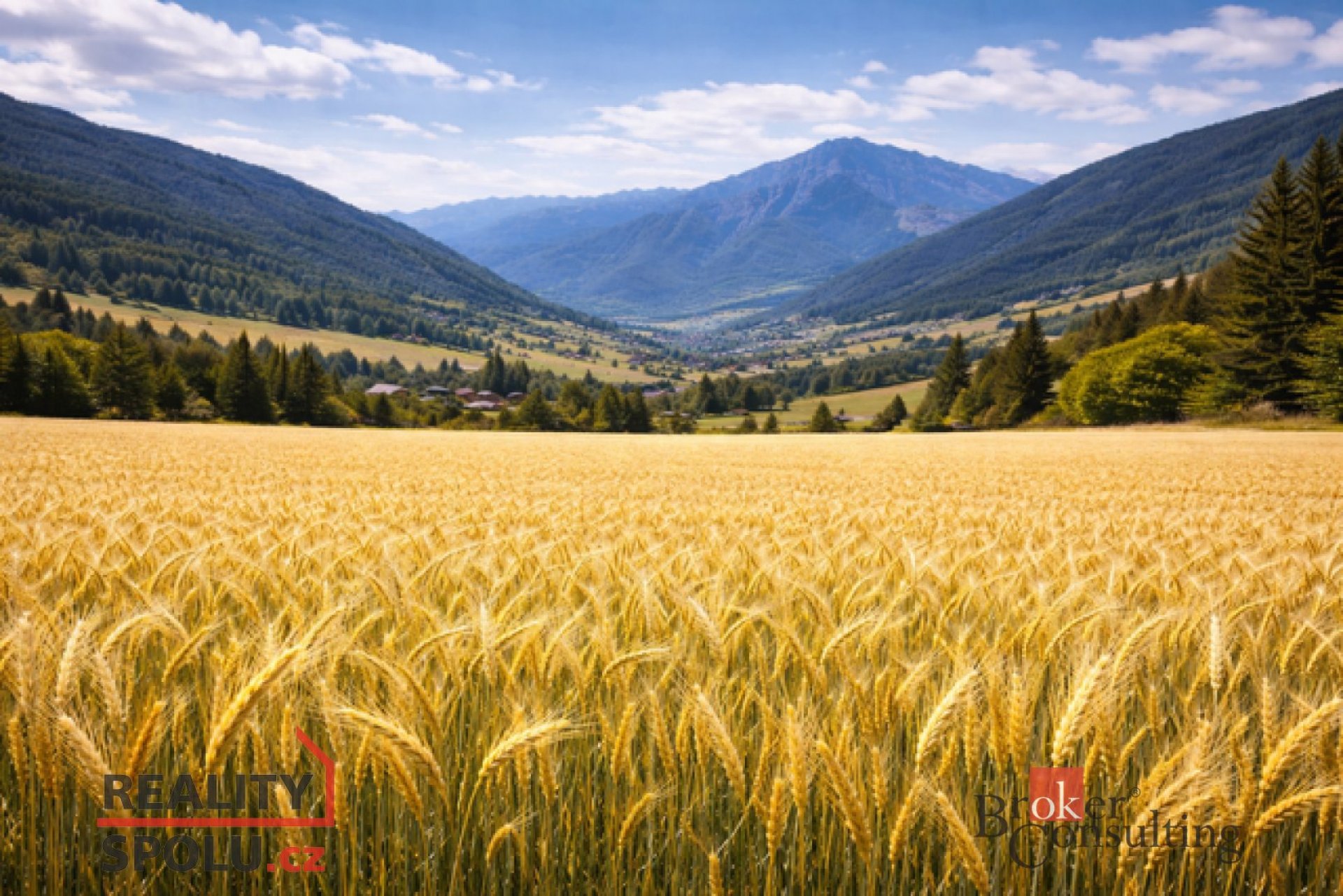 Prodej, pozemky/pole, 46553 m2, Bohdašín  [ID 79413]