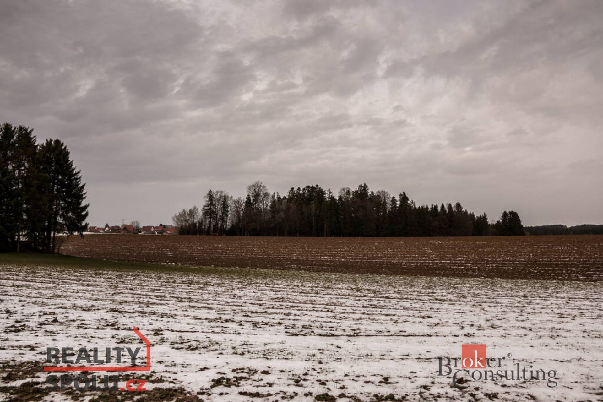 Prodej, pozemky/pole, 46553 m2, Bohdašín  [ID 79413]