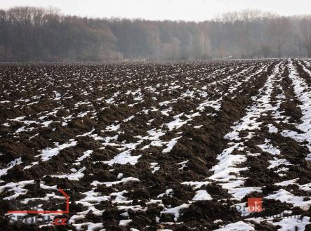 Prodej - pozemek, zemědělská půda, 46 553 m²
