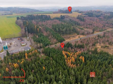 Prodej - pozemek, les, 5 425 m²
