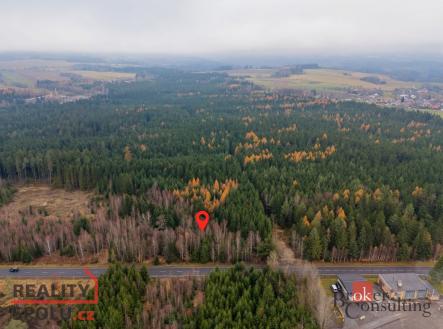 Prodej - pozemek, les, 5 425 m²