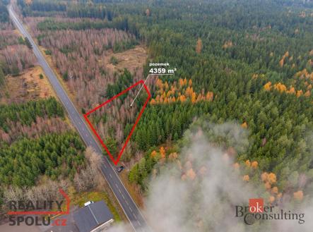 Prodej - pozemek, les, 5 425 m²