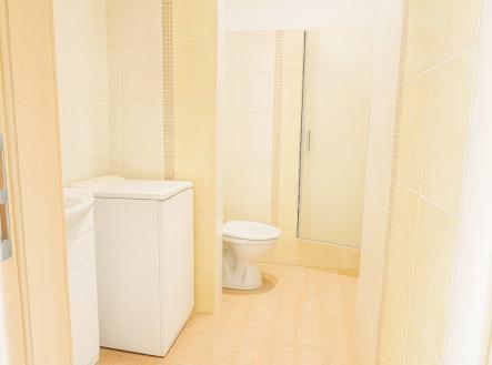 Pronájem bytu, 1+1, 35 m²