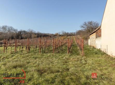 Prodej - pozemek, zahrada, 201 m²