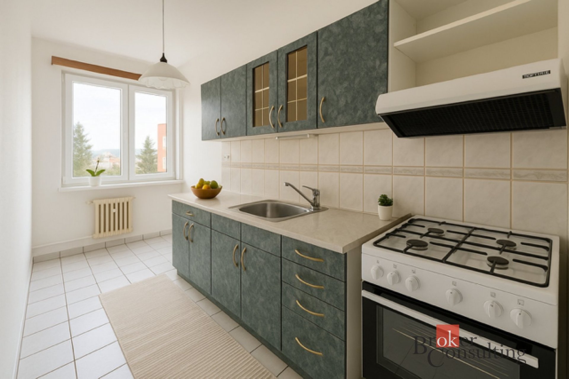 Pronájem, byty/2+1, 66 m2, Boženy Němcové 60/23, Drahovice, 36001 Karlovy Vary, Karlovy Vary [ID 798