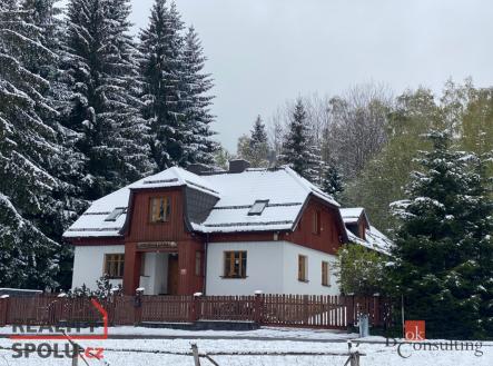 Prodej - dům/vila, 439,43 m²