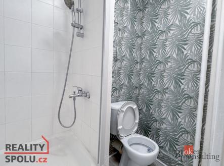 Pronájem bytu, 1+kk, 24 m²