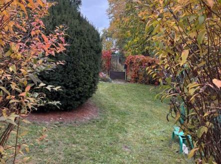 Prodej - pozemek, zahrada, 381 m²