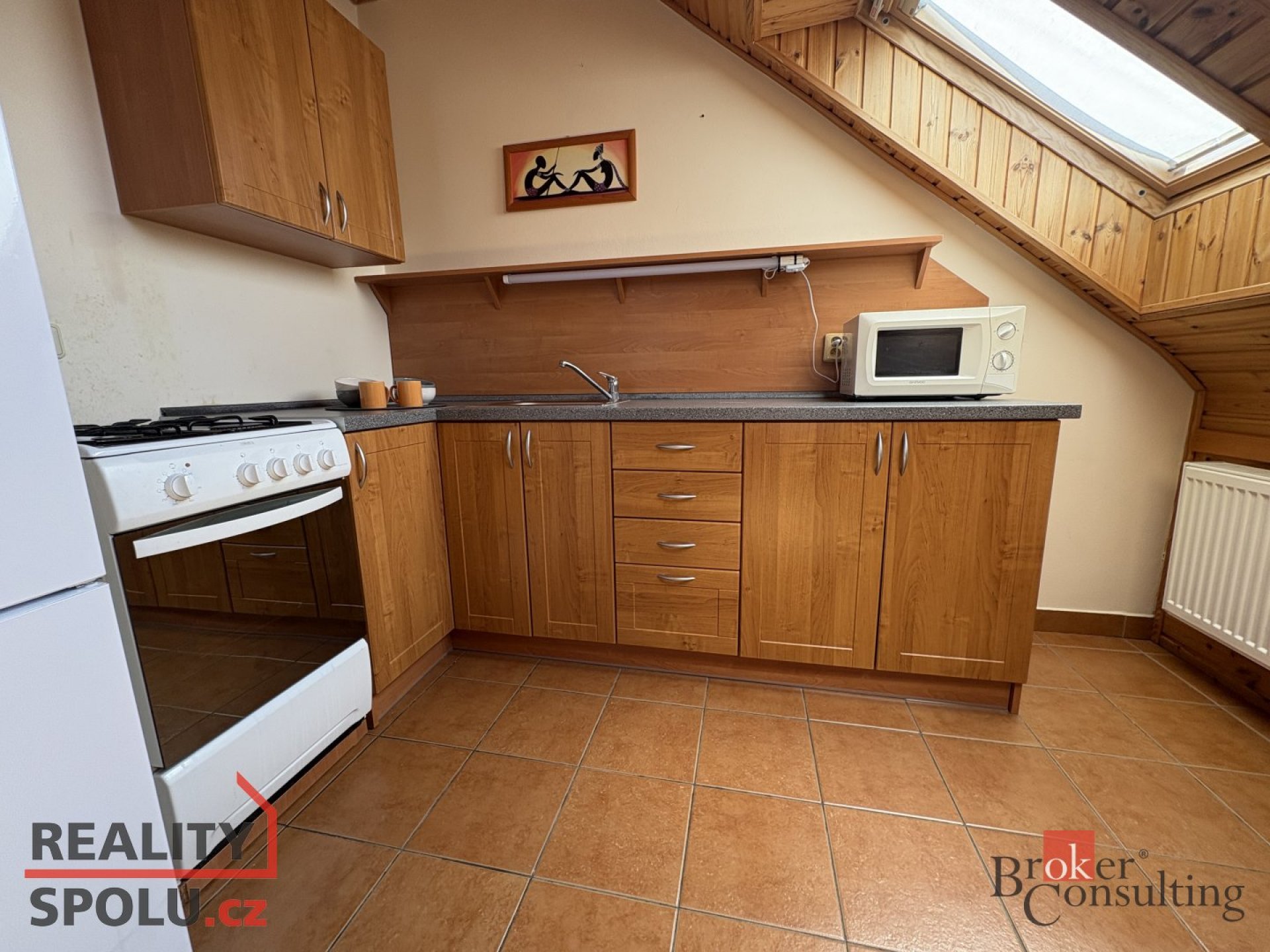 Pronájem plně zařízeného bytu Opava, ul. třída Spojenců