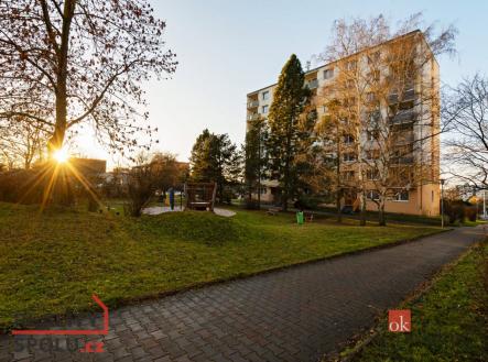 Prodej bytu, 1+kk, 19,97 m²