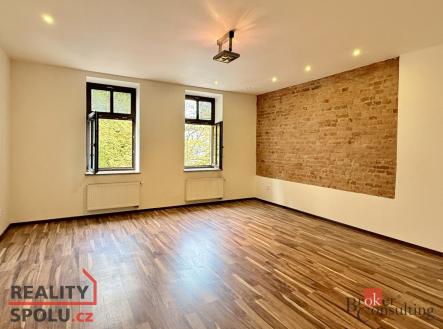 Pronájem bytu, 1+1, 45 m²