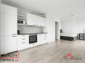 Pronájem bytu, 1+kk, 41 m²