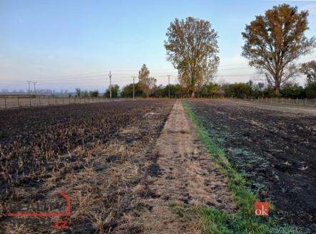 Prodej - pozemek, zemědělská půda, 10 854 m²