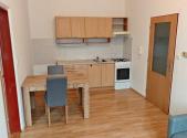 Pronájem bytu, 1+1, 44 m²