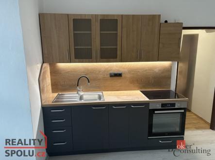 Pronájem bytu, 1+1, 53 m²