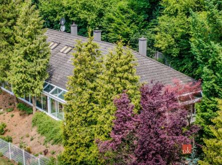 Prodej - dům/vila, 450 m²