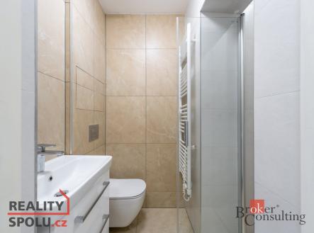 Pronájem bytu, 1+kk, 26 m²