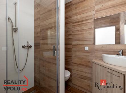 Pronájem bytu, 1+kk, 20 m²