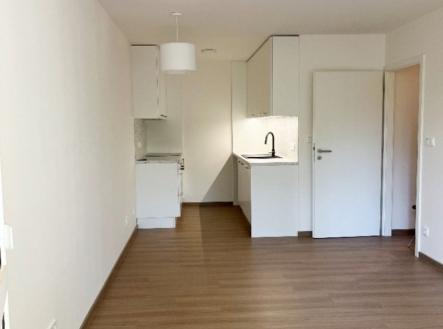 Pronájem bytu, 2+kk, 44 m²