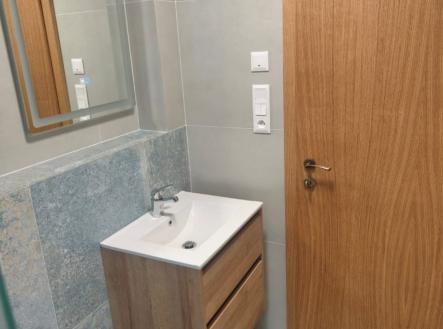 Pronájem bytu, 1+kk, 25 m²