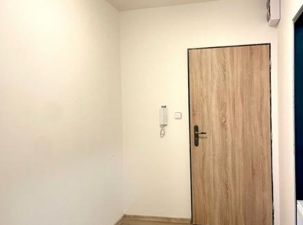 Pronájem bytu, 1+kk, 47 m²