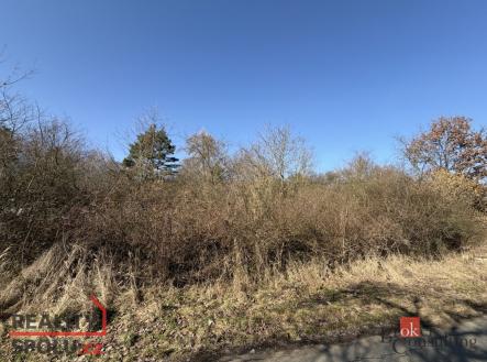 Prodej - pozemek, ostatní, 6 289 m²