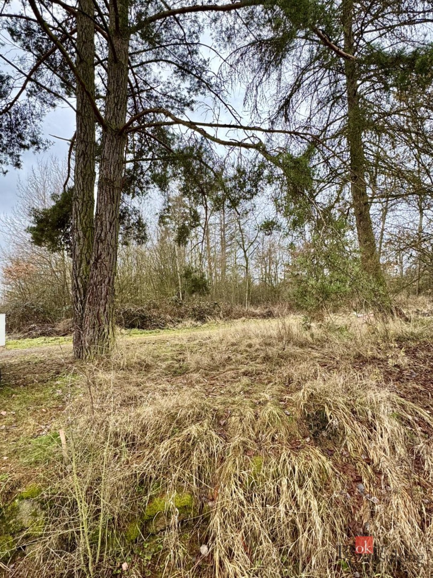 Prodej stavebního pozemku